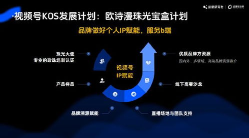 2024年五大運營新玩法 互聯網終點的小浪淘金——上?；ヂ摼W銷售公司啟示錄